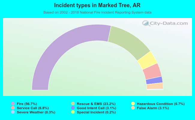 Incident types in Marked Tree, AR