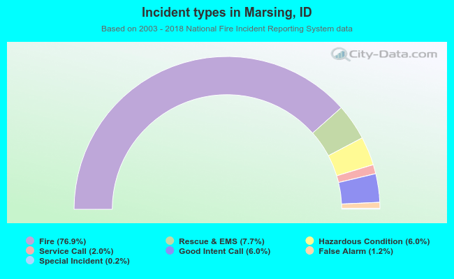 Incident types in Marsing, ID