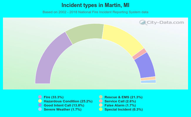 Incident types in Martin, MI