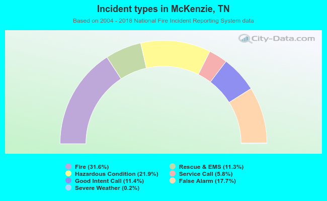 Incident types in McKenzie, TN