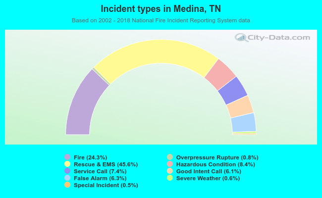 Incident types in Medina, TN