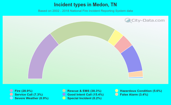 Incident types in Medon, TN