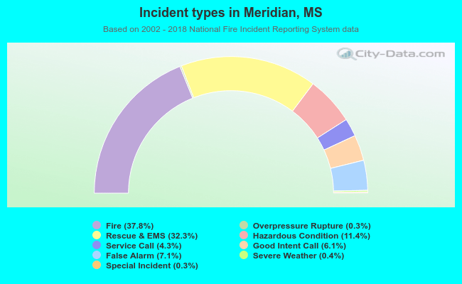 Incident types in Meridian, MS