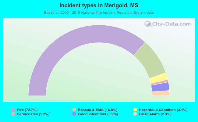 Incident types in Merigold, MS