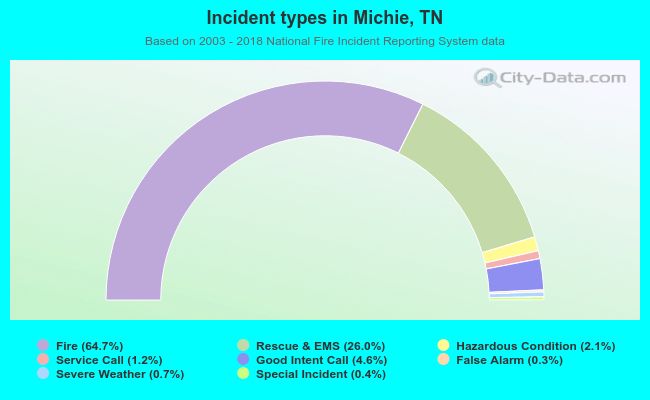 Incident types in Michie, TN