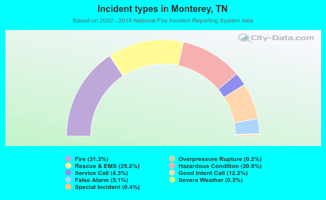 Incident types in Monterey, TN