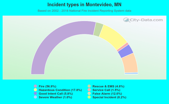 Incident types in Montevideo, MN