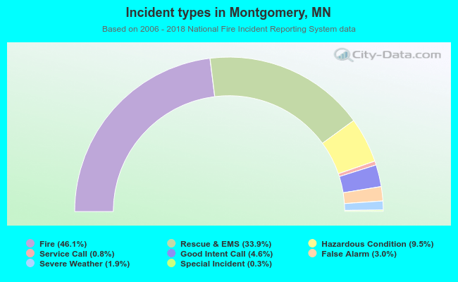Incident types in Montgomery, MN