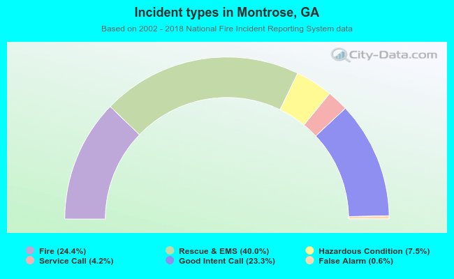 Incident types in Montrose, GA