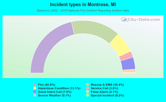 Incident types in Montrose, MI