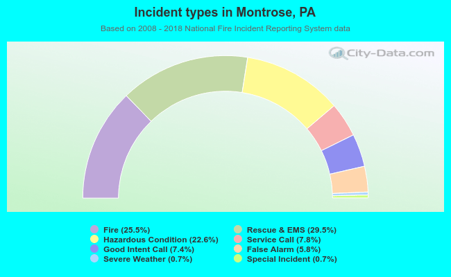 Incident types in Montrose, PA