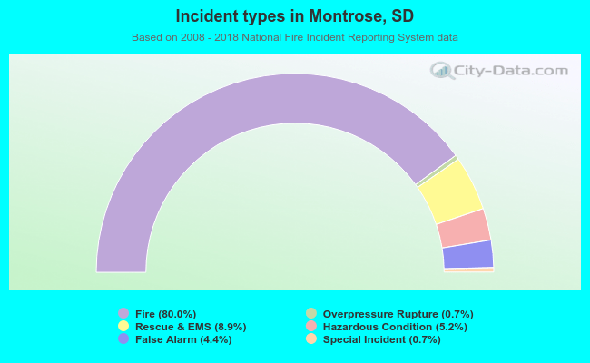 Incident types in Montrose, SD