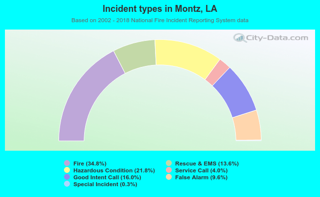Incident types in Montz, LA