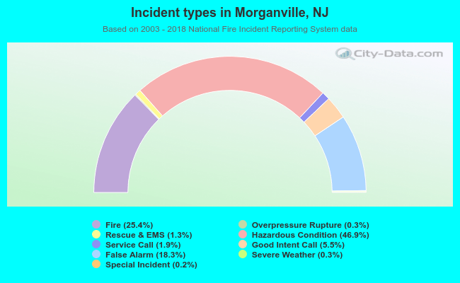 Incident types in Morganville, NJ