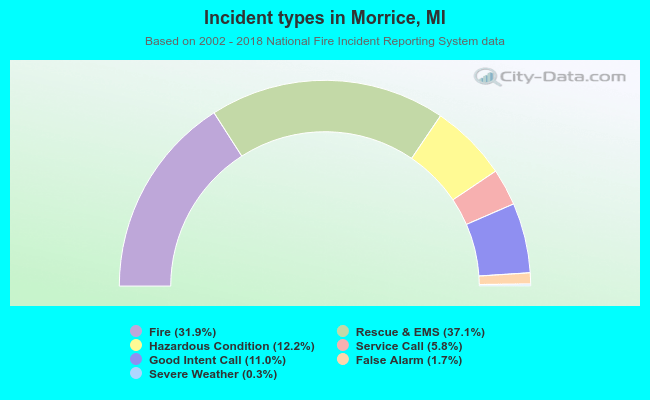 Incident types in Morrice, MI
