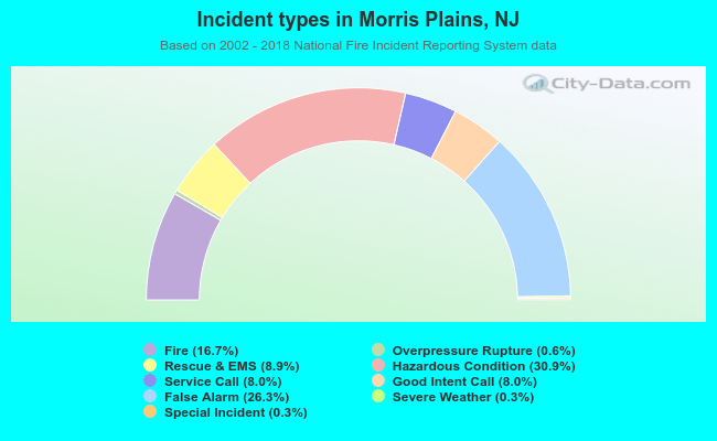 Incident types in Morris Plains, NJ
