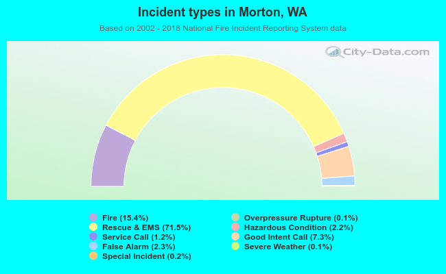 Incident types in Morton, WA