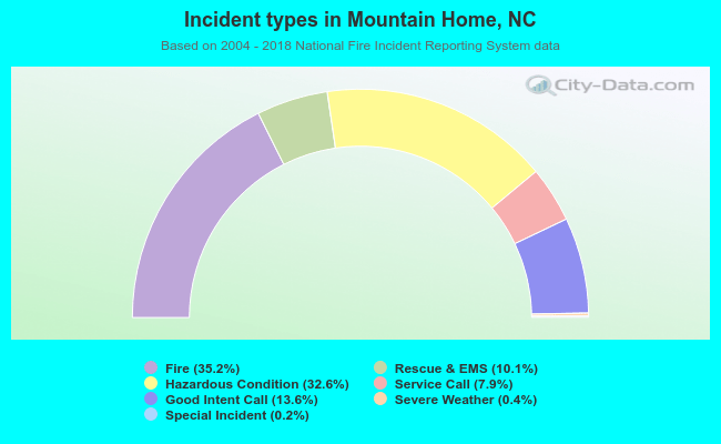 Incident types in Mountain Home, NC