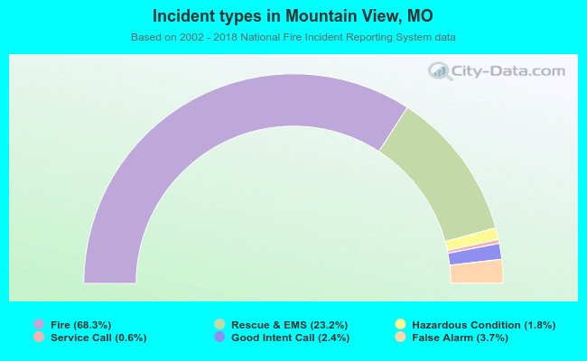 Incident types in Mountain View, MO
