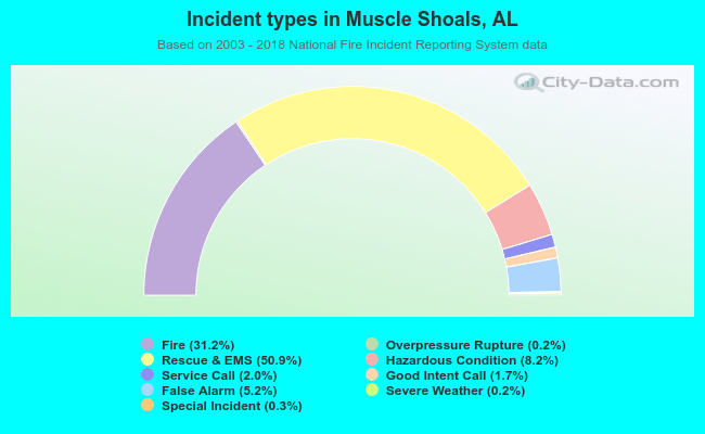 Incident types in Muscle Shoals, AL