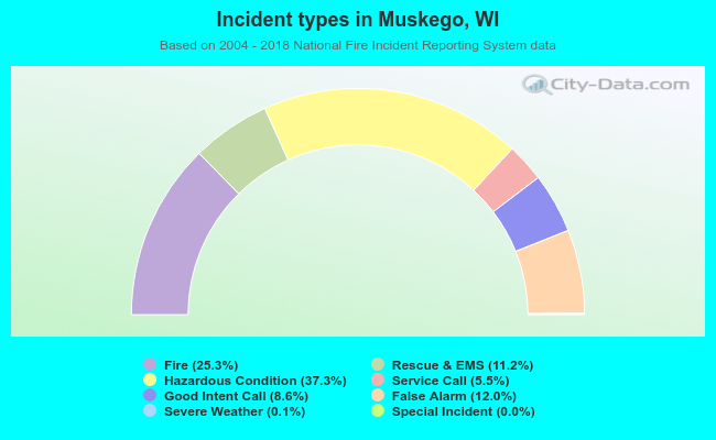 Incident types in Muskego, WI