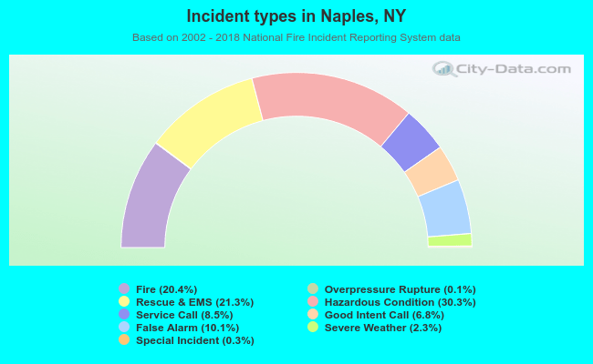 Incident types in Naples, NY