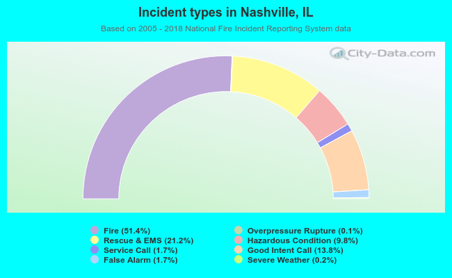 Incident types in Nashville, IL