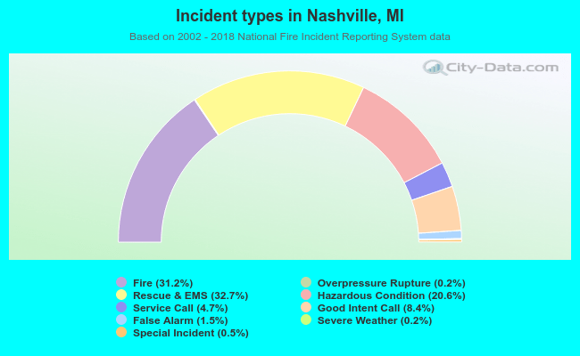 Incident types in Nashville, MI