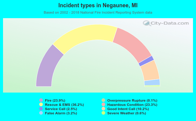Incident types in Negaunee, MI