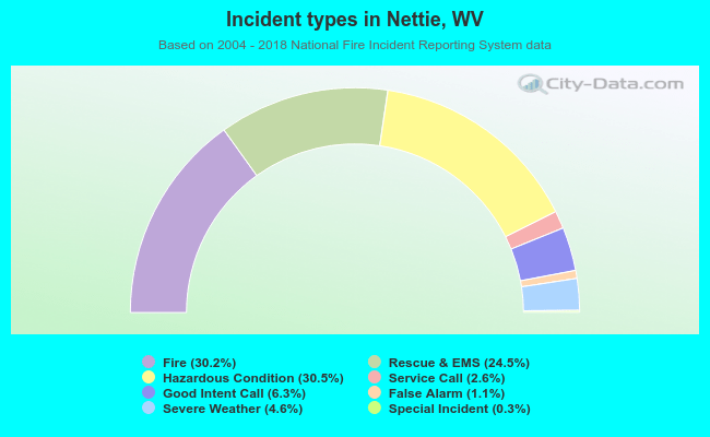 Incident types in Nettie, WV