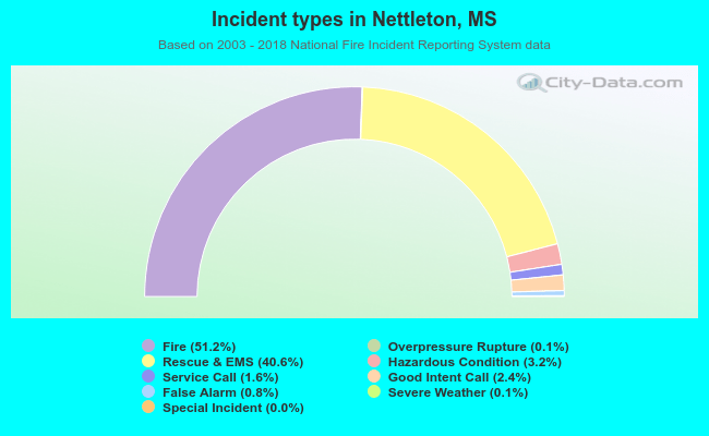 Incident types in Nettleton, MS
