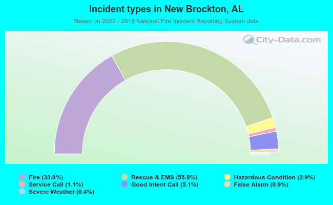 Incident types in New Brockton, AL