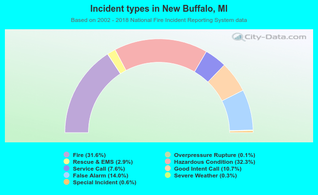 Incident types in New Buffalo, MI