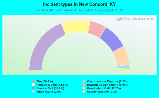 Incident types in New Concord, KY