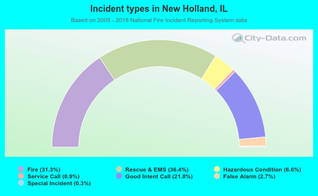 Incident types in New Holland, IL