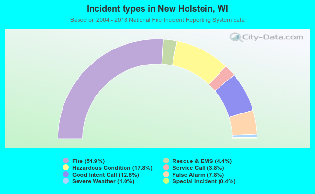 Incident types in New Holstein, WI