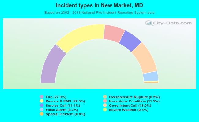Incident types in New Market, MD