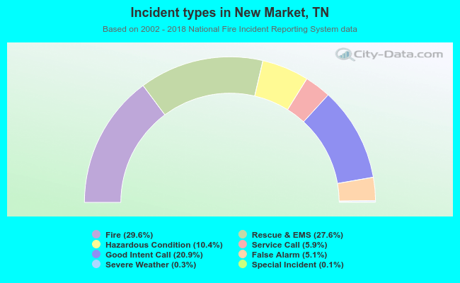 Incident types in New Market, TN