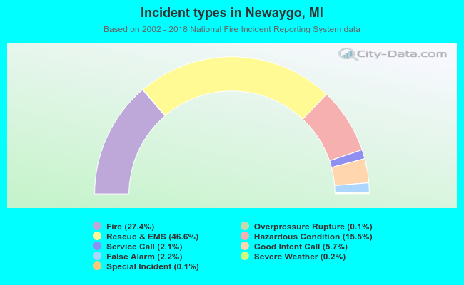 Incident types in Newaygo, MI