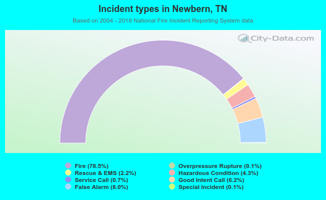 Incident types in Newbern, TN