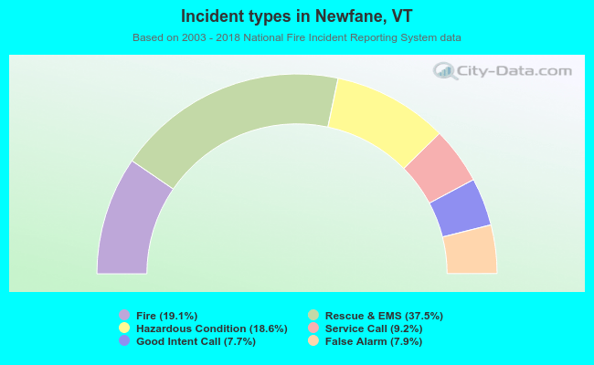 Incident types in Newfane, VT