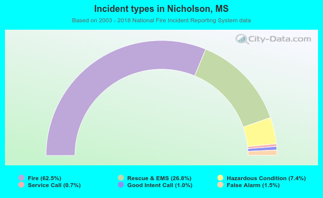 Incident types in Nicholson, MS