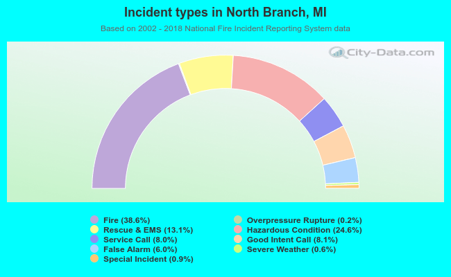 Incident types in North Branch, MI