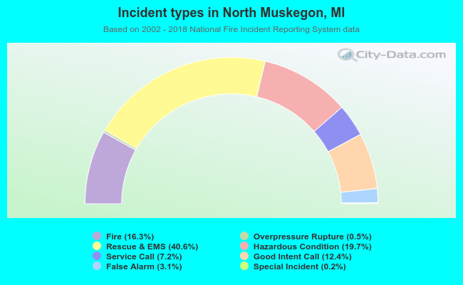 Incident types in North Muskegon, MI