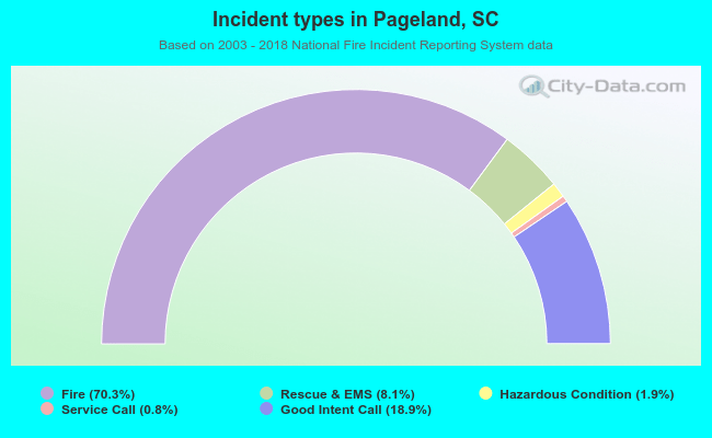 Incident types in Pageland, SC