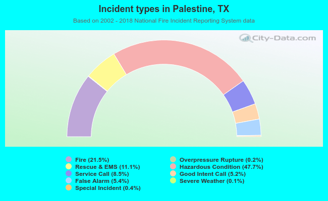 Incident types in Palestine, TX