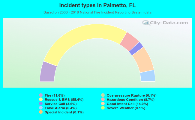 Incident types in Palmetto, FL