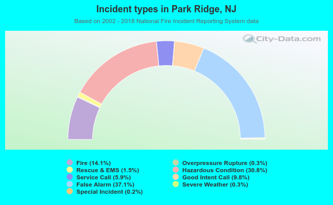 Incident types in Park Ridge, NJ