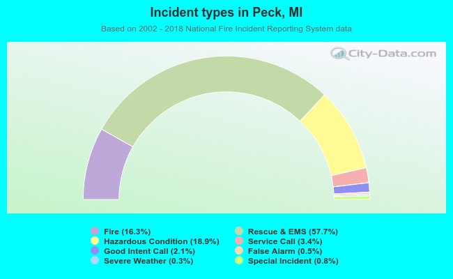 Incident types in Peck, MI