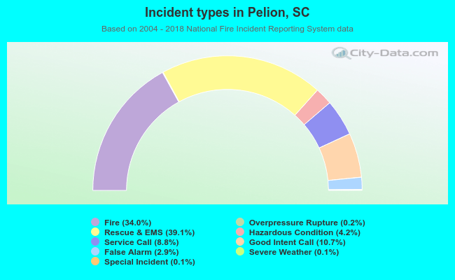 Incident types in Pelion, SC